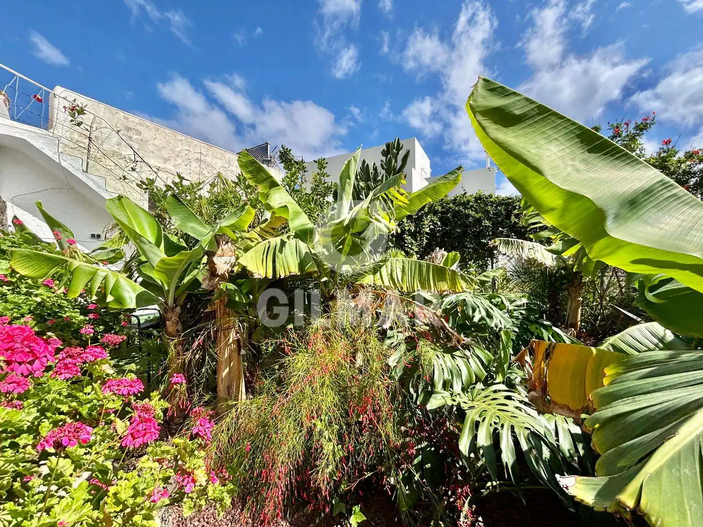 Jardí de Finca rústica en venda en Garachico amb Moblat
