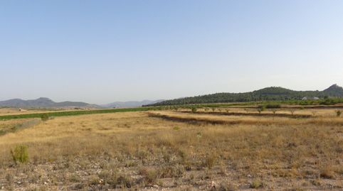 TERRENOS PARA CONSTRUIR EN SALINAS, imatge 4