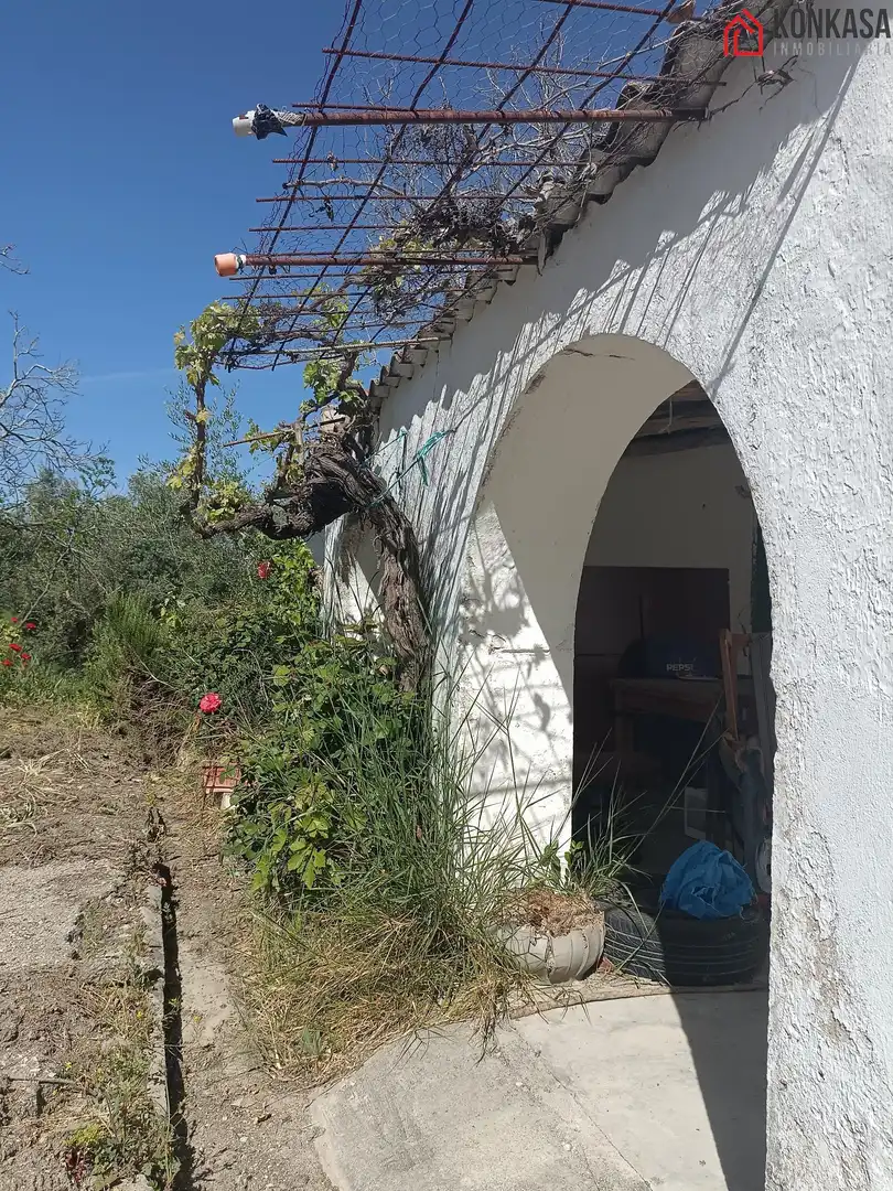 Casa rústica en venda a Arcos de la Frontera, imagen 4