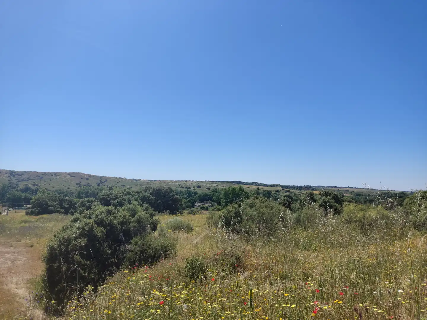 Land for sale in Navalcarnero
