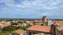 Vista exterior de Casa o xalet en venda en Mont-roig del Camp amb Terrassa