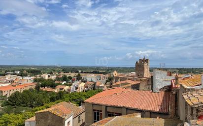 Vista exterior de Casa o xalet en venda en Mont-roig del Camp amb Terrassa