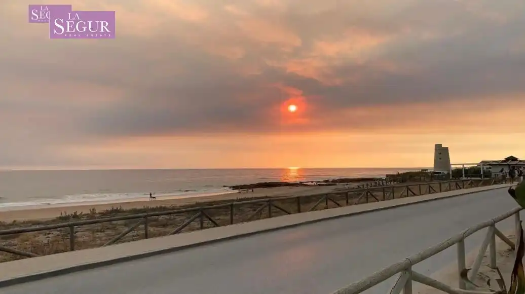 Terreni e lotti in vendita a El Palmar, imagen 6