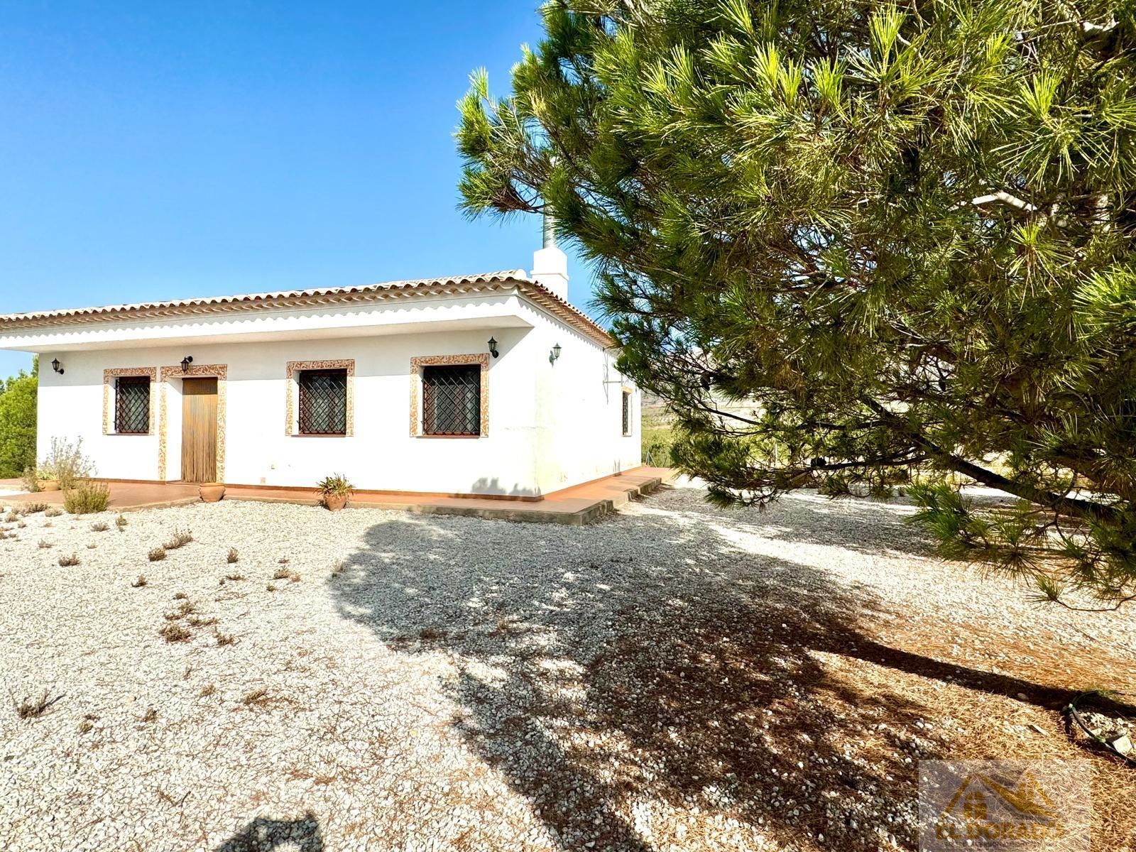 Exterior view of Country house for sale in Vélez-Rubio  with Air Conditioner, Heating and Terrace