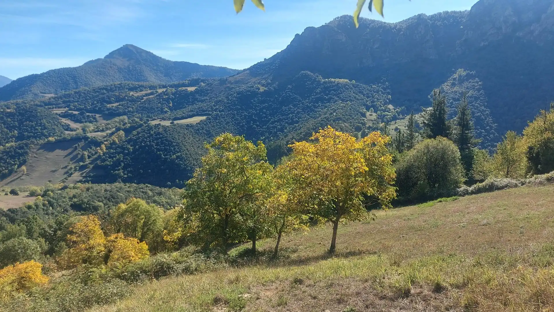 Grundstücke zum Verkauf in Camaleño