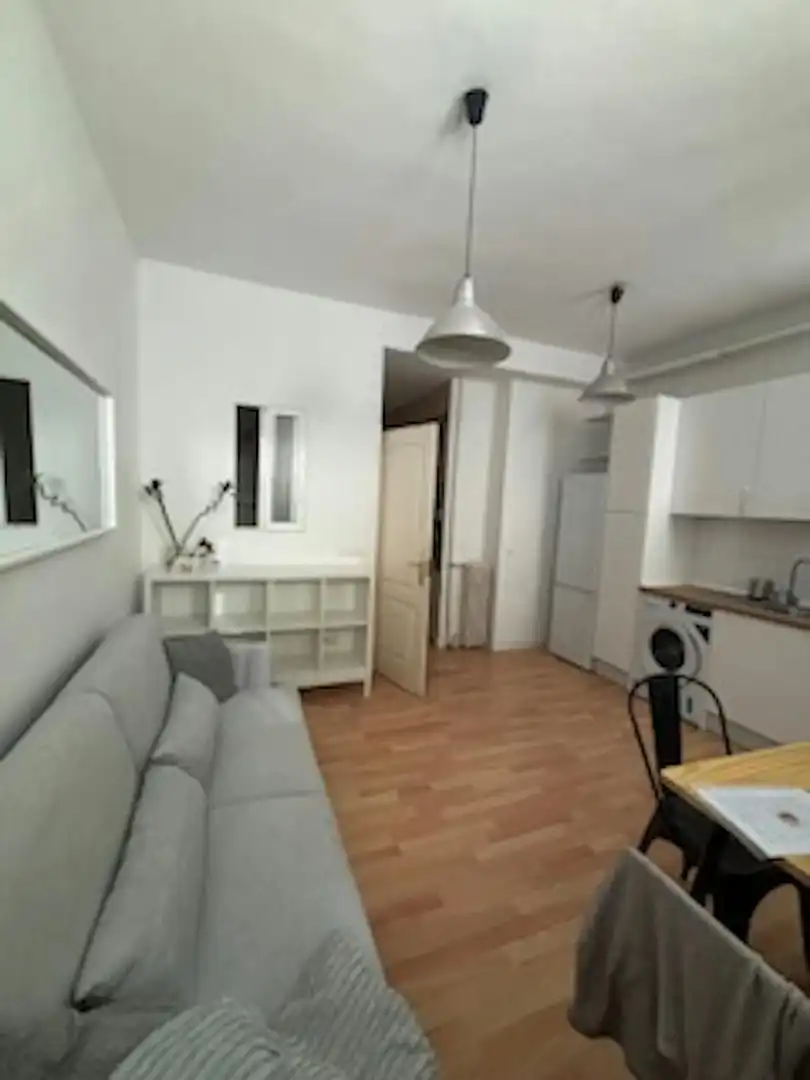 Living room of Flat for rent in Madrid  with Heating, Furnished and Washing machine