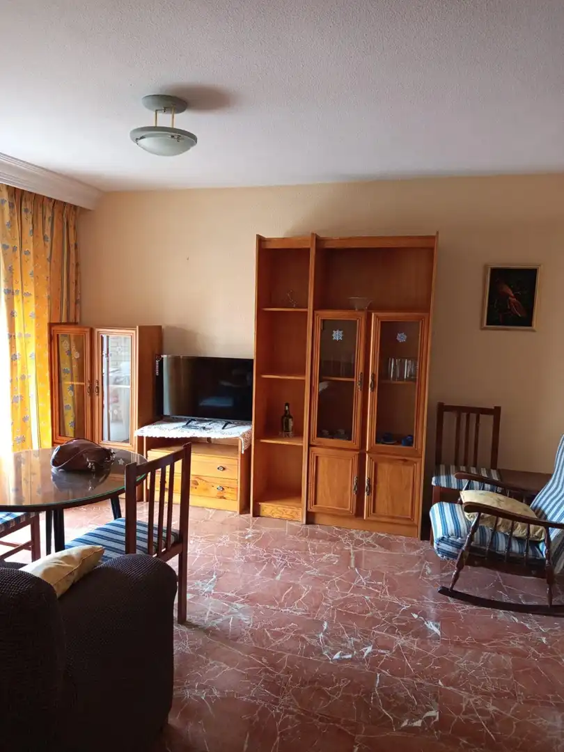 Sala d'estar de Pis de lloguer en Granada amb Moblat i Balcó
