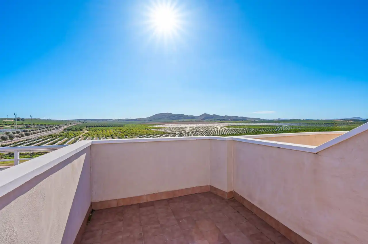 Appartement compact à vendre à Algorfa, imagen 23