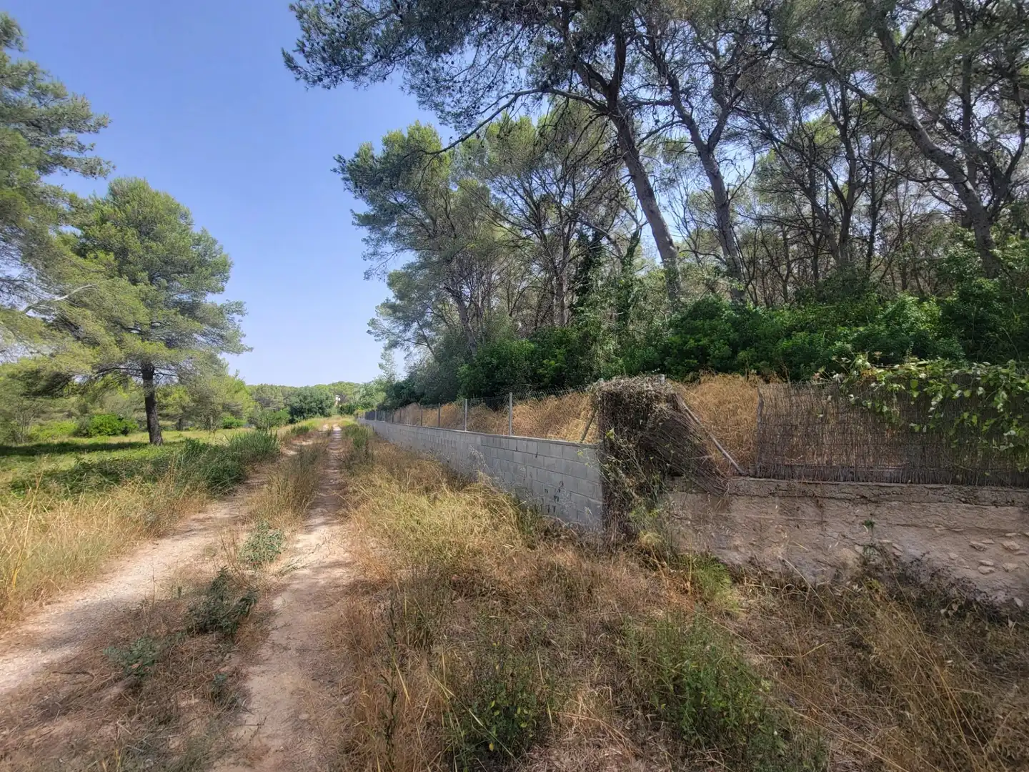 Terrenys i solars en venda a Avenida dels Pirineus, imagen 46
