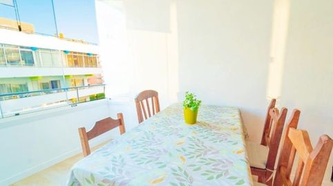 Photo 5 of Study for rent in Zona Martiánez, Puerto de la Cruz