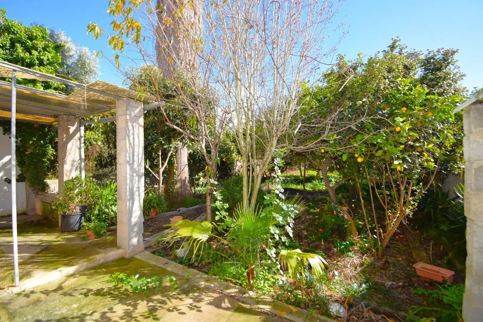 Casa con jardín en venta en Campanet, imagen 20
