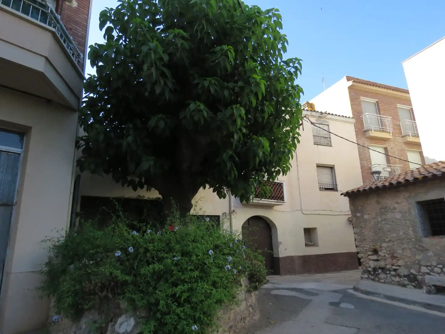 Exterior view of Houses for sale in Alcover  with Heating, Private garden and Terrace
