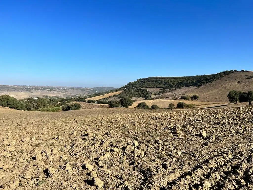 Casa rústica en venda a Vejer, imagen 7