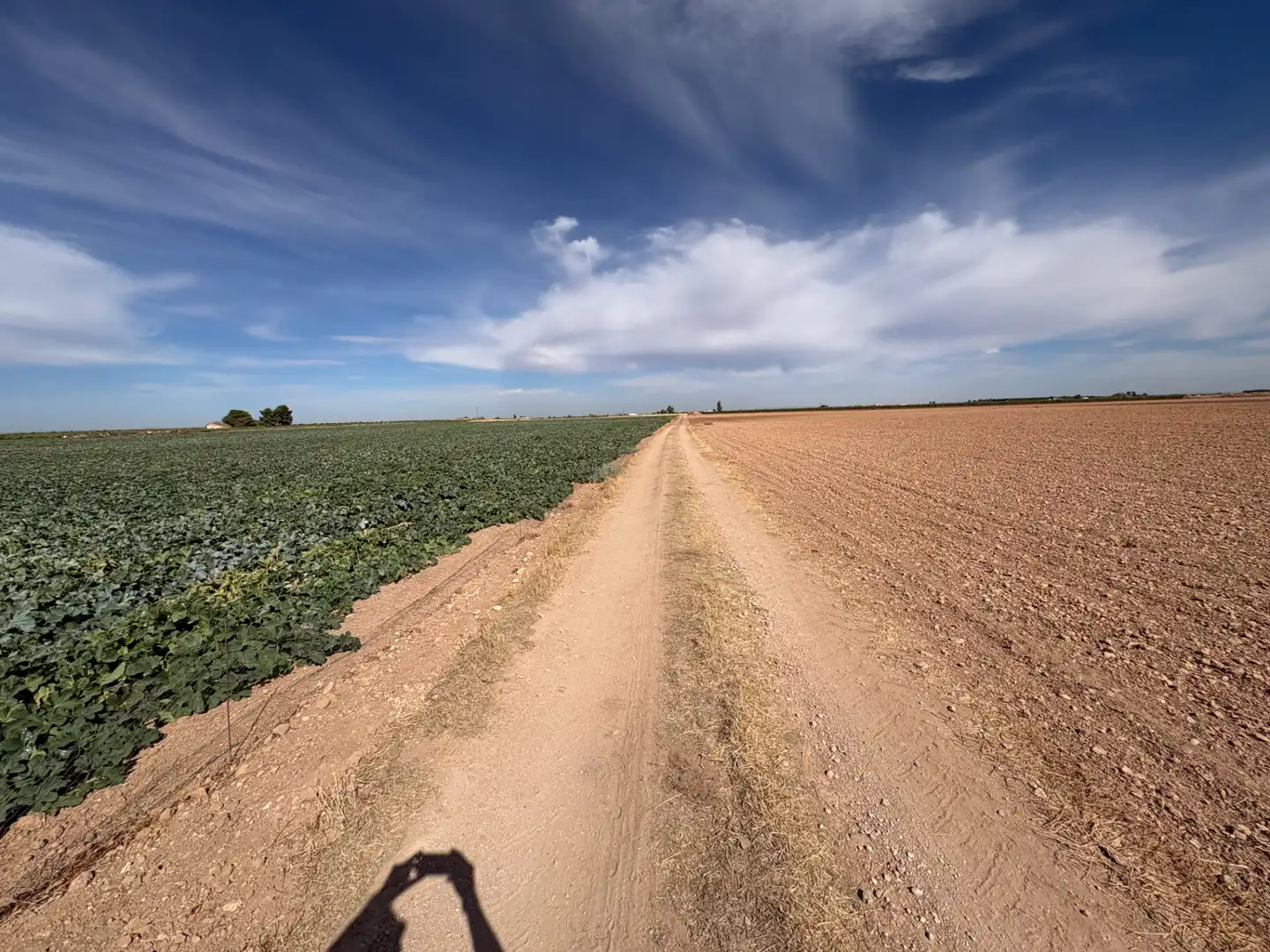 Rural land for sale in CM-400 580, imagen 20