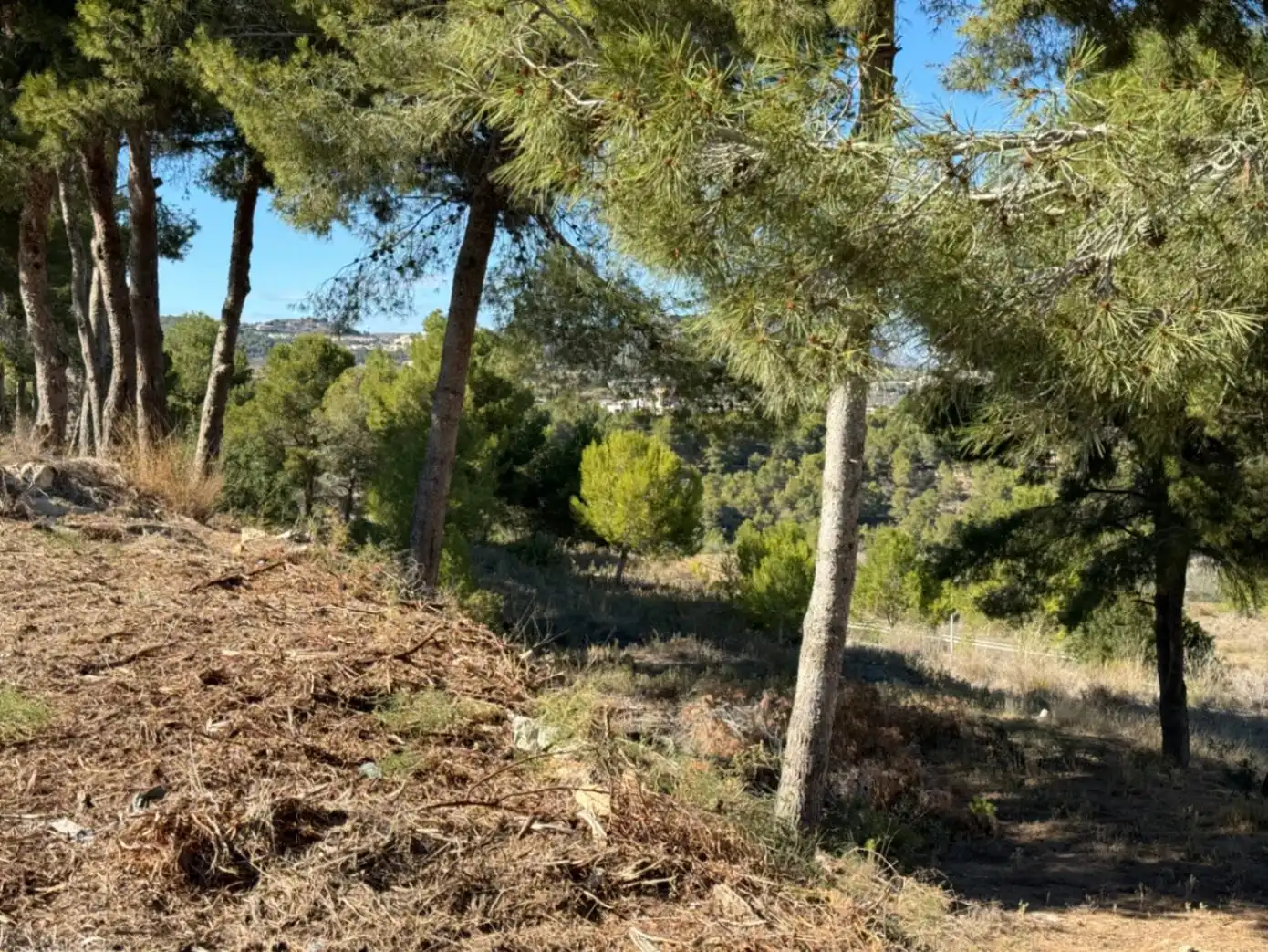 Wohnbaugrundstück zum Verkauf in Pinar del Advocat - Cometa, imagen 41