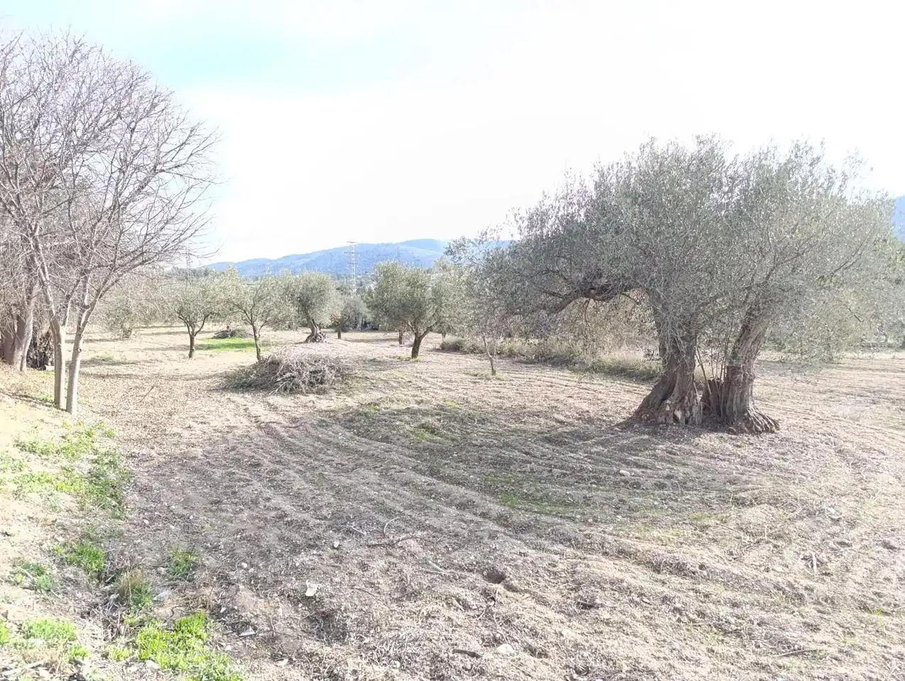 Finca rústica en venta en Ibi