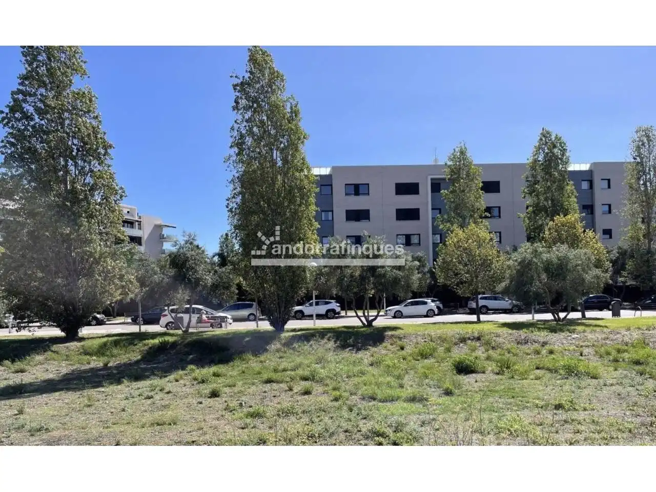 Rural land for sale in Calle d´Eduard Toldra, imagen 8