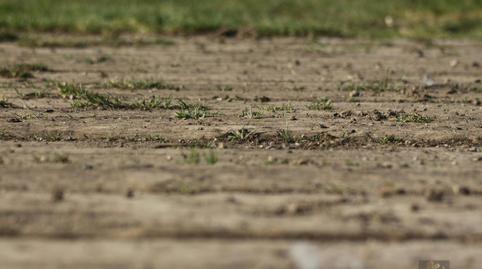 Foto 2 de Residencial en venda a Paseo Independencia, Zaragoza