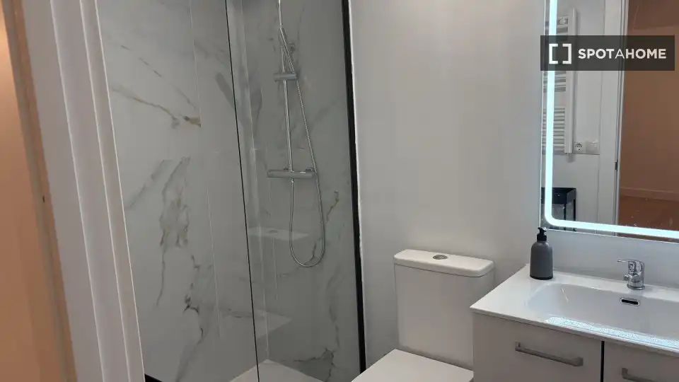 Bathroom of Apartments for share in Madrid  with Air Conditioner, Heating and Terrace