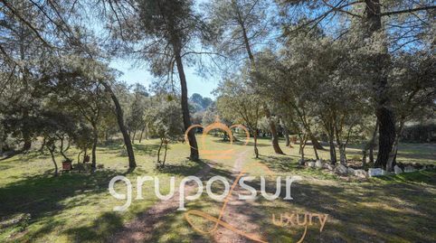 Photo 4 of Houses for sale in Carretera Villanueva, 8, Puente Duero, Valladolid Capital