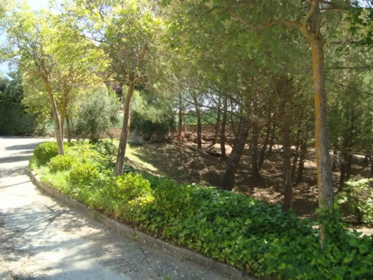 Garden of Residential for sale in Loranca de Tajuña