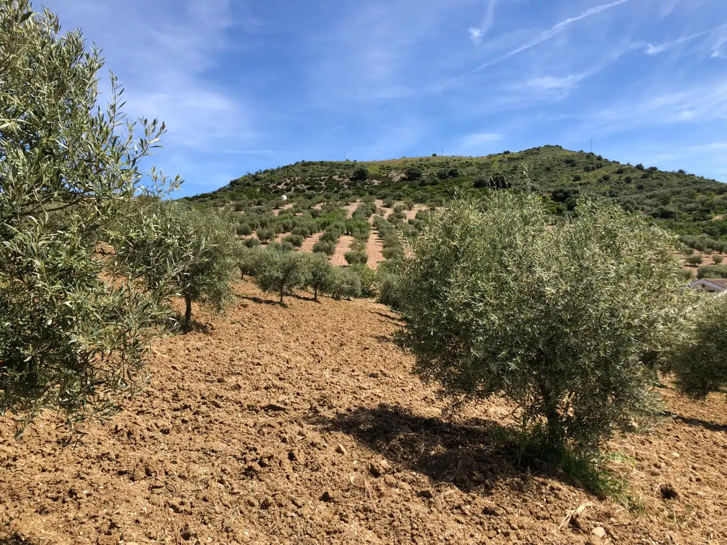 Casa rústica en venta en Valle de Abdalajís, imagen 24