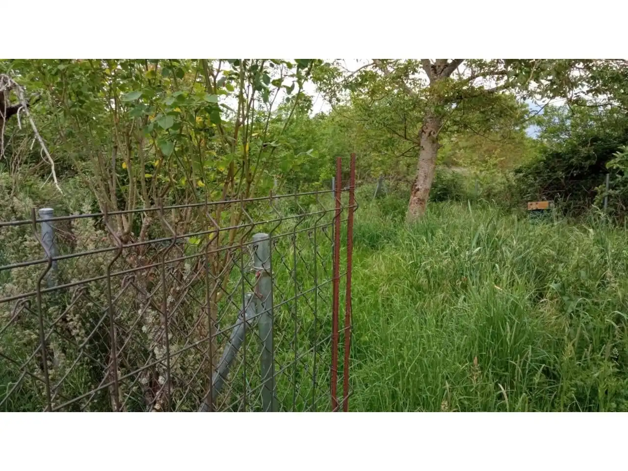 Finca rústica en venda en A Rúa 