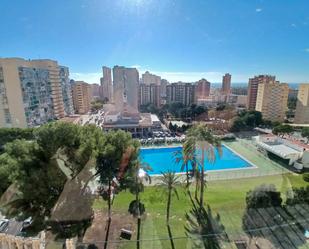 Piscina de Apartament en venda en Benidorm amb Moblat i Piscina comunitària