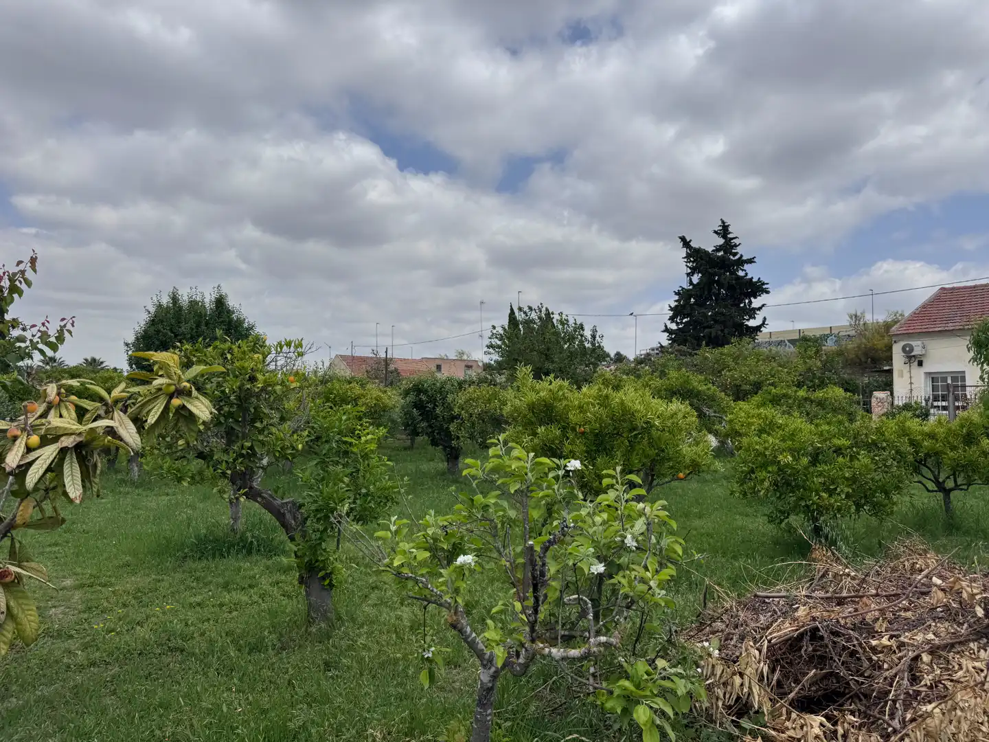 Residential zum Verkauf in Murcia