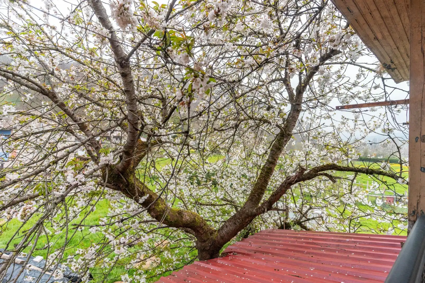 Jardí de Casa o xalet en venda en Laviana amb Calefacció, Jardí privat i Terrassa