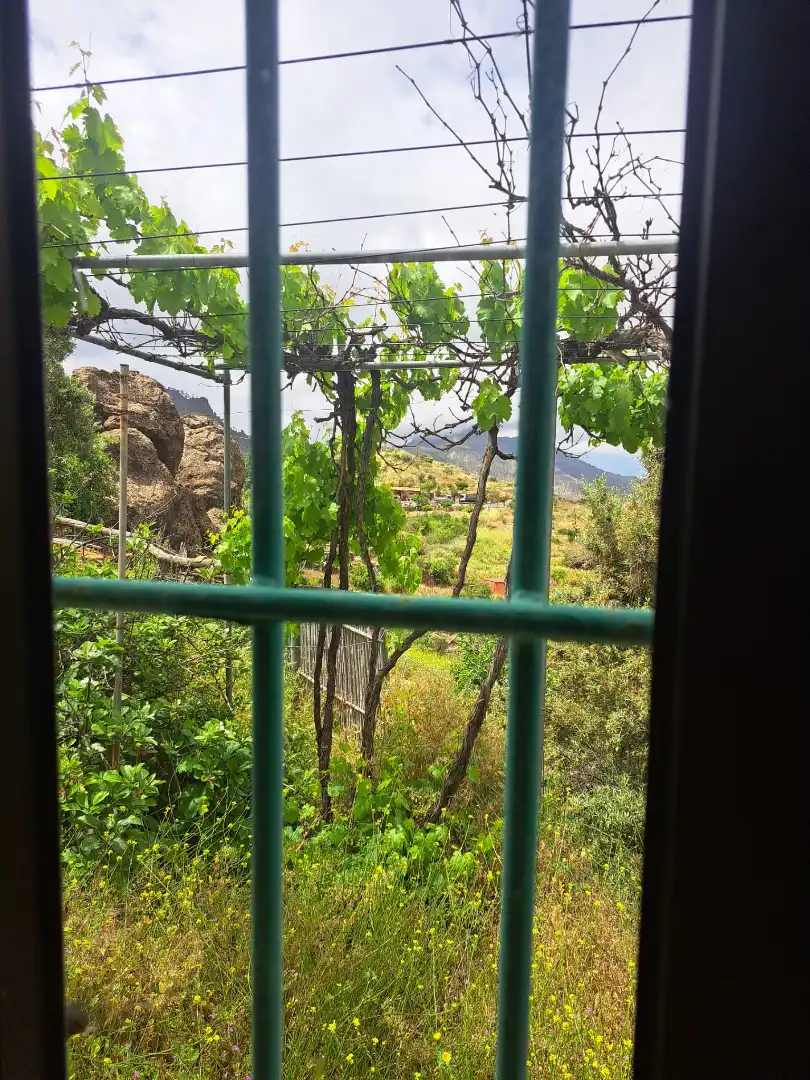 Jardín de Casa o chalet en venta en San Bartolomé de Tirajana con Jardín privado, Terraza y Trastero