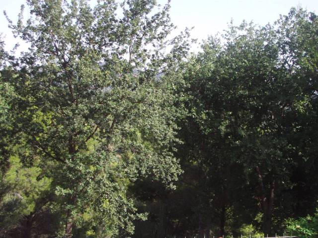Terreno en Venta en Calle Pins en Viladecavalls