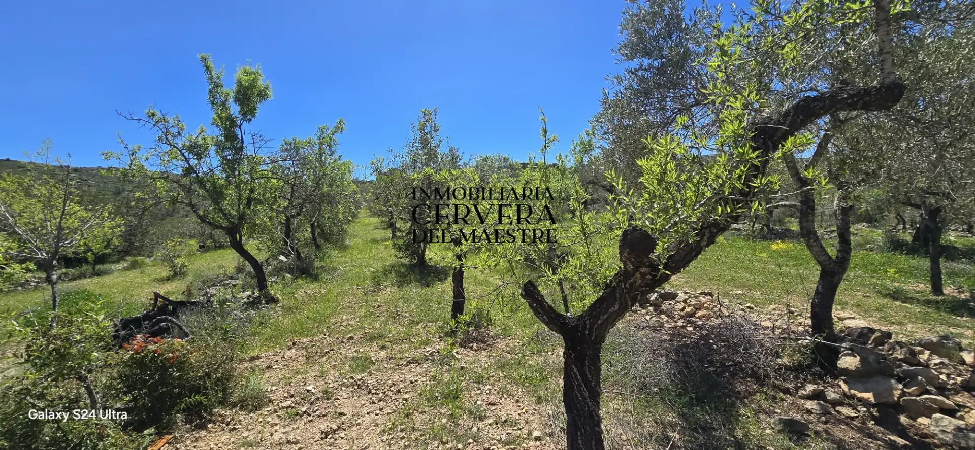 Finca rústica en venda en Cervera del Maestre amb Moblat