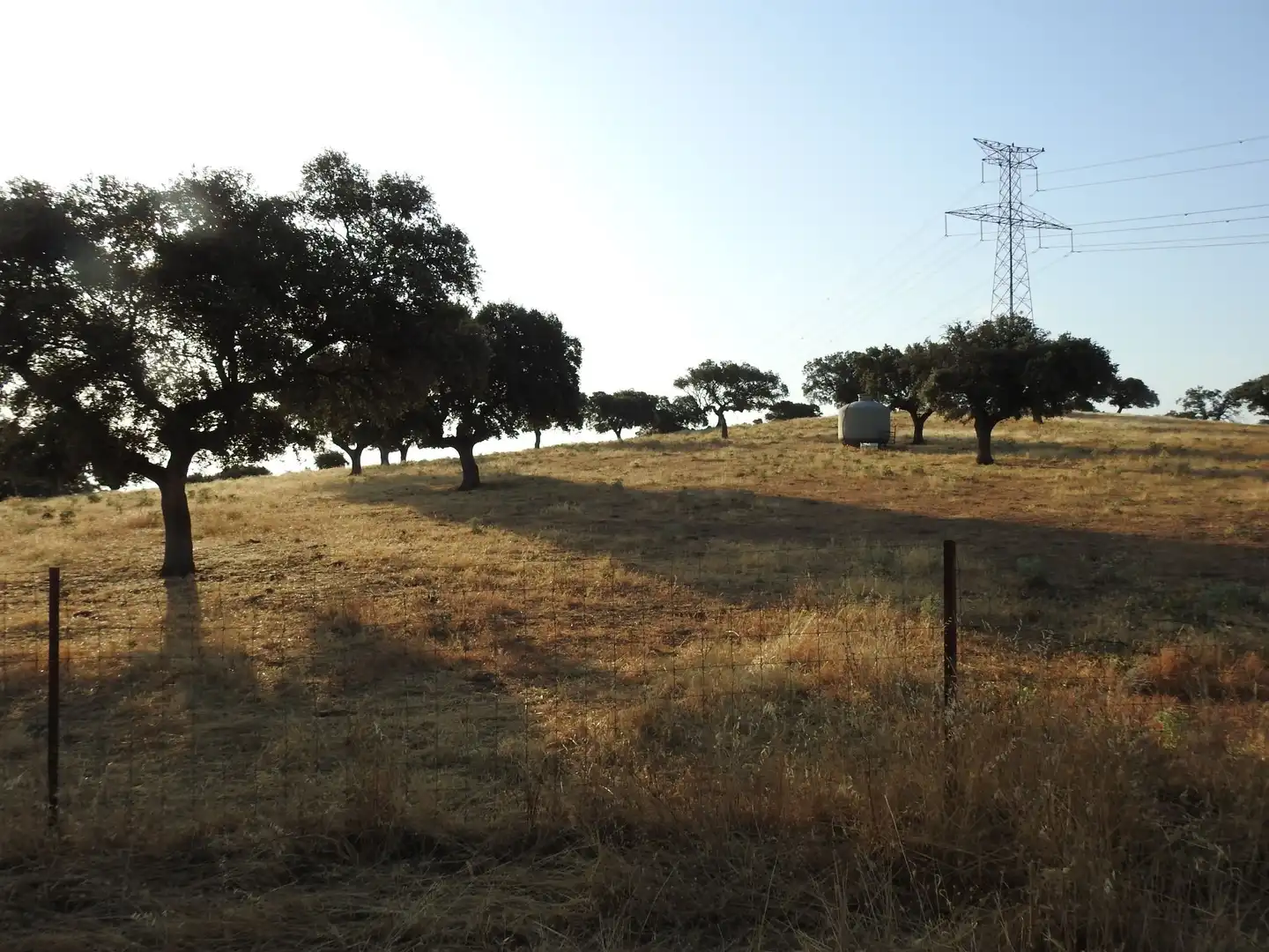 Terreno en venta en Villar del Pedroso