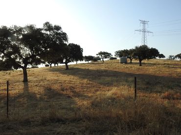 Terreny rústic en venda a Villar del Pedroso