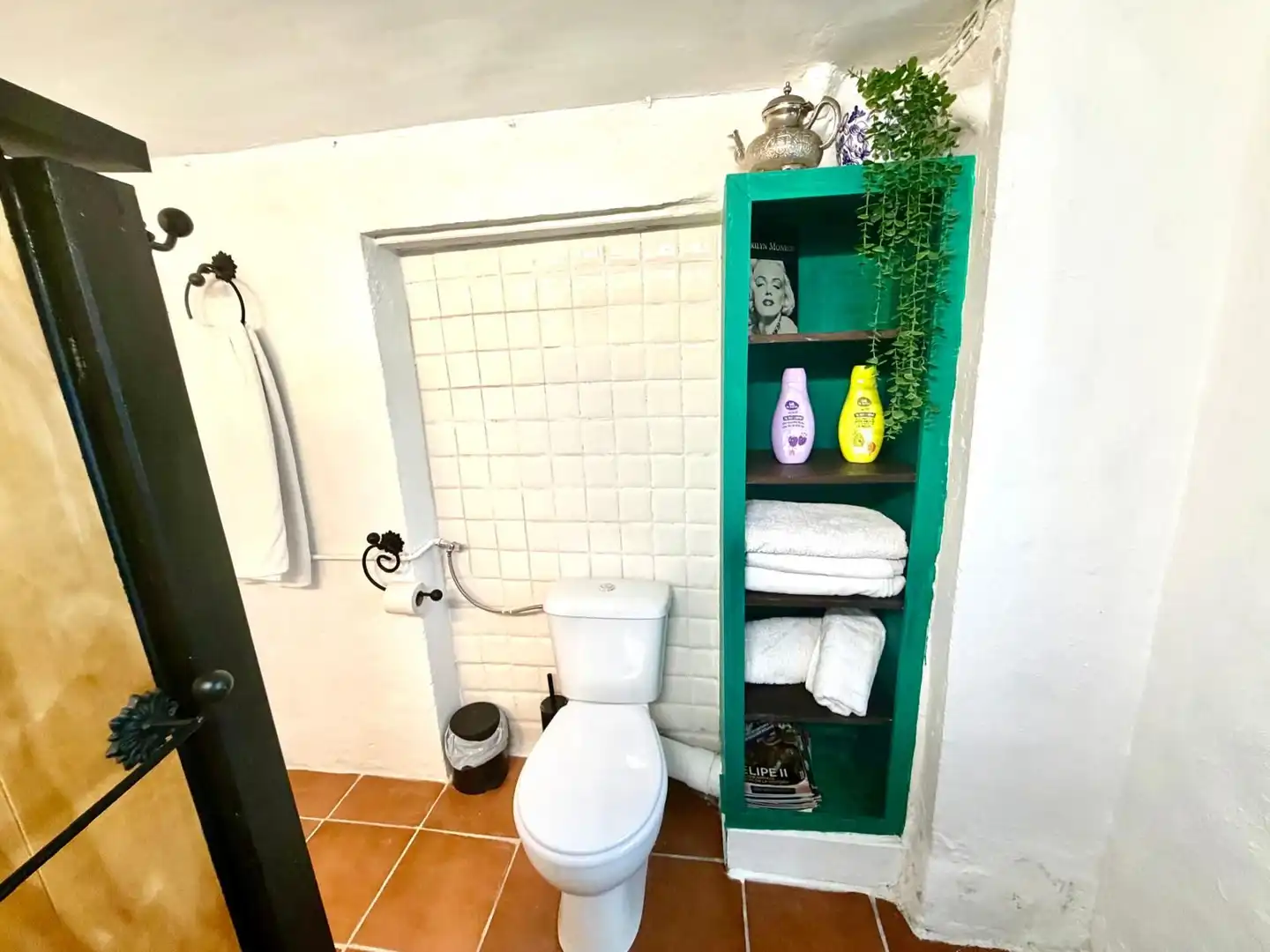 Bathroom of Houses for sale in Iznájar  with Terrace and Furnished
