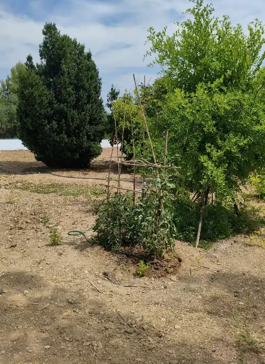 Villa avec piscine à vendre à Vilamarxant, imagen 17