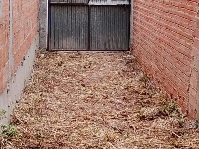 Vista exterior de Terreno en venta en Muniesa