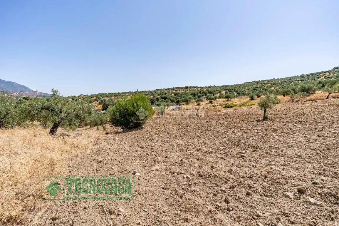 Land for sale in Tolox