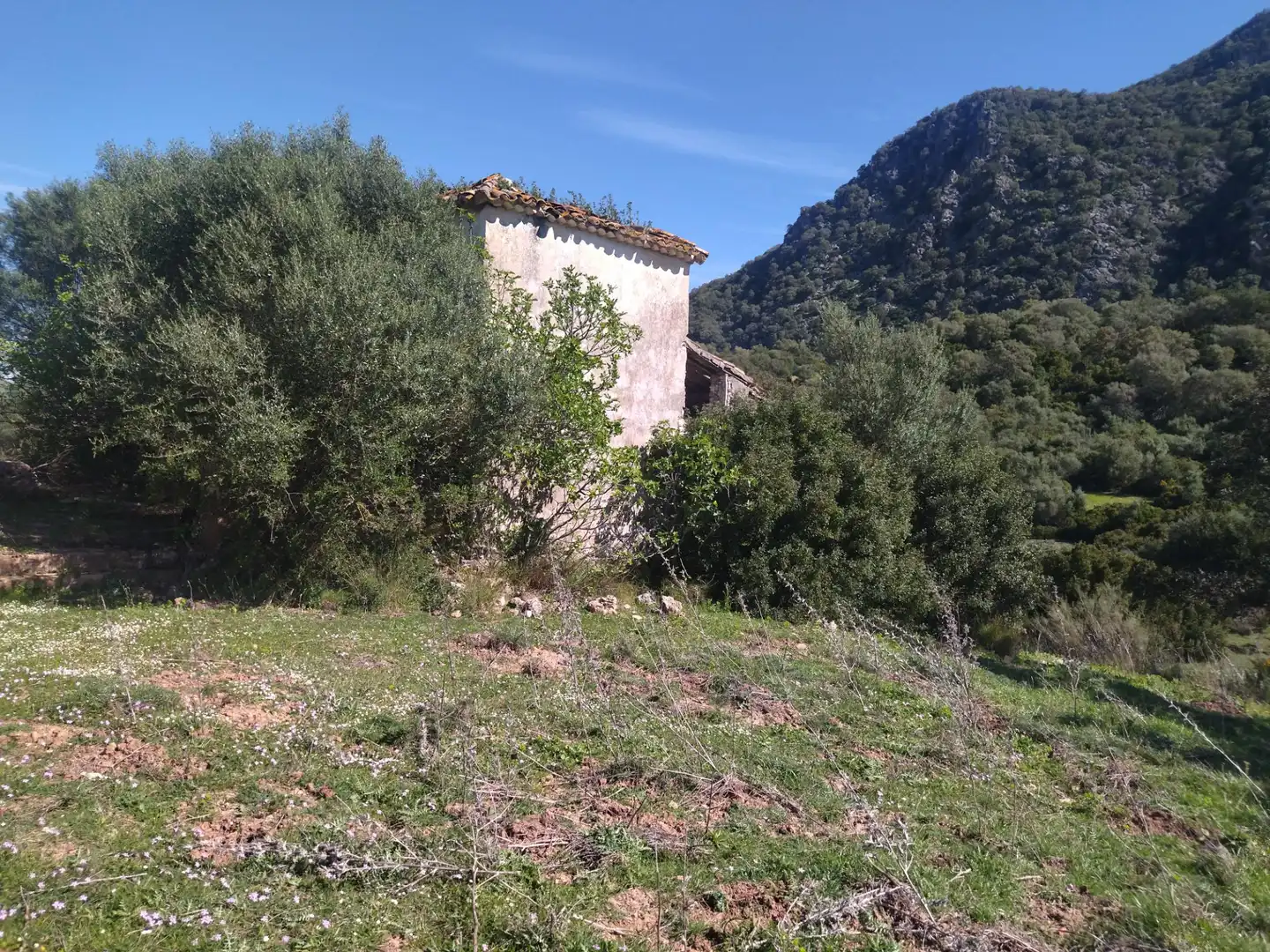 Terreno rustico in vendita a Ubrique, imagen 12