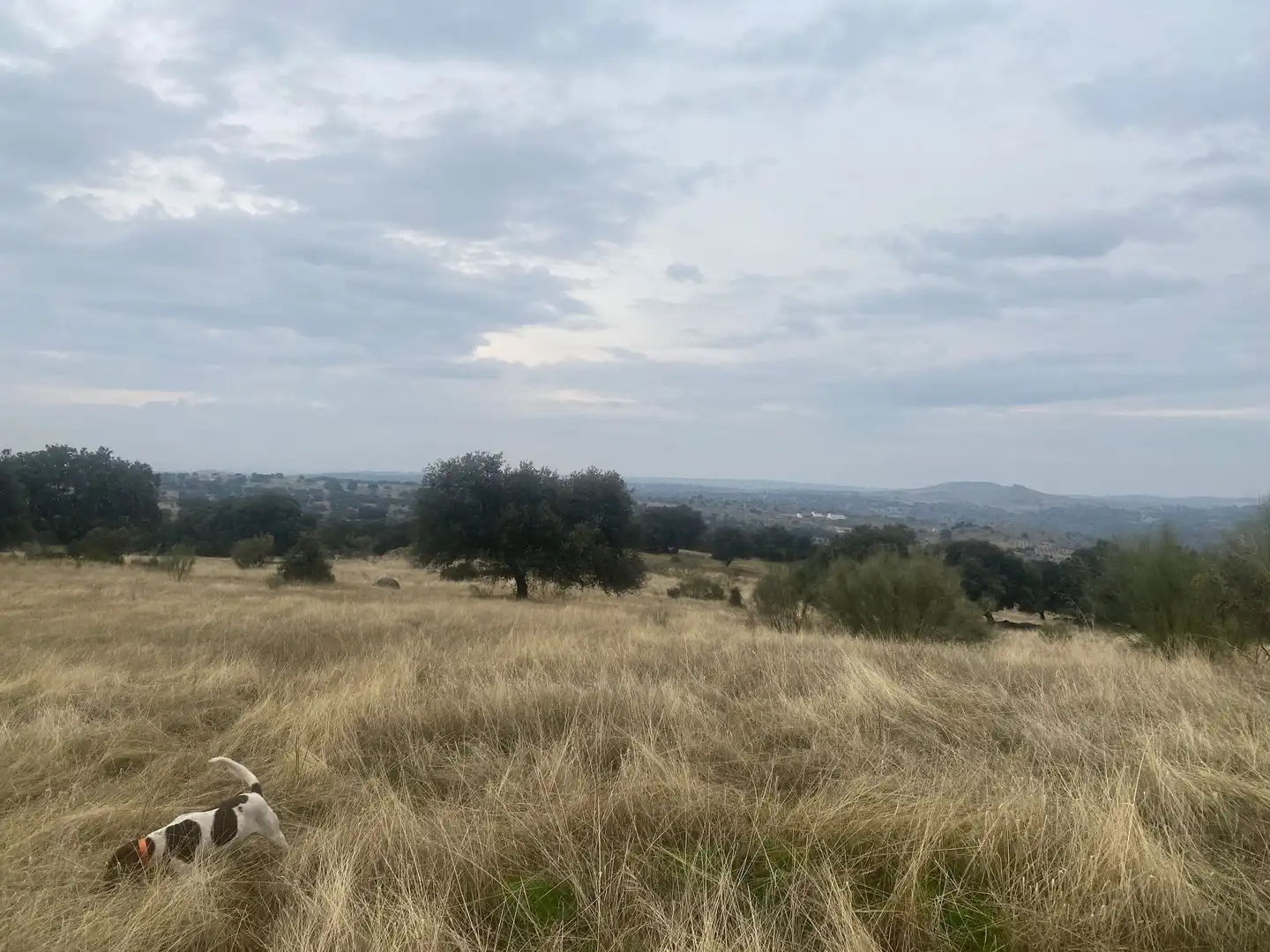 Terreni e lotti in vendita a La Estrella, imagen 6