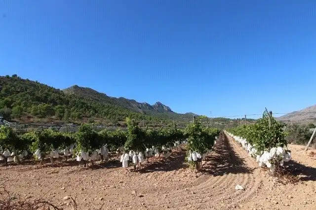 Terreny residencial en venda a La Romana, imagen 5