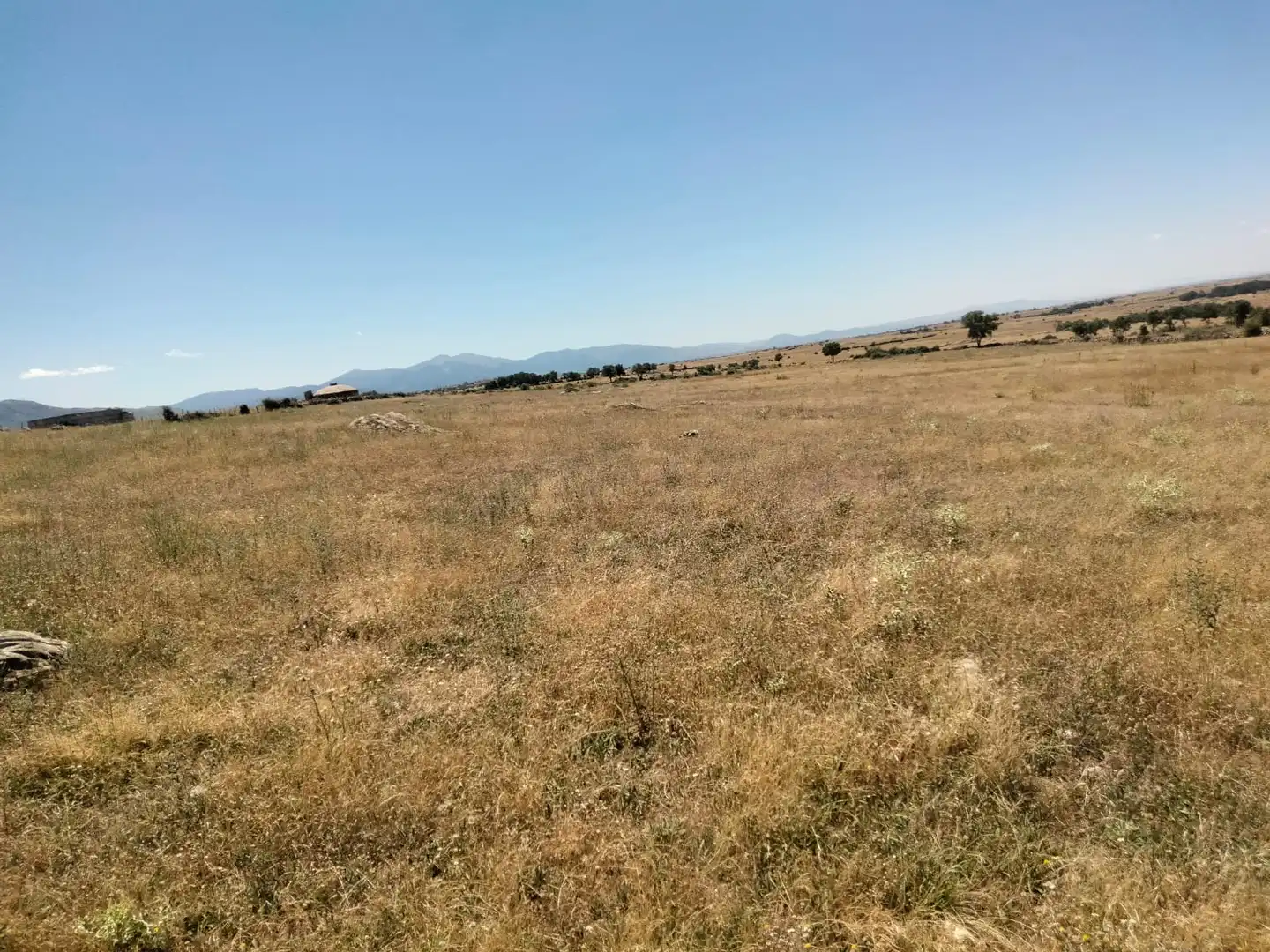 Terreno rustico in vendita a Basardilla, imagen 12
