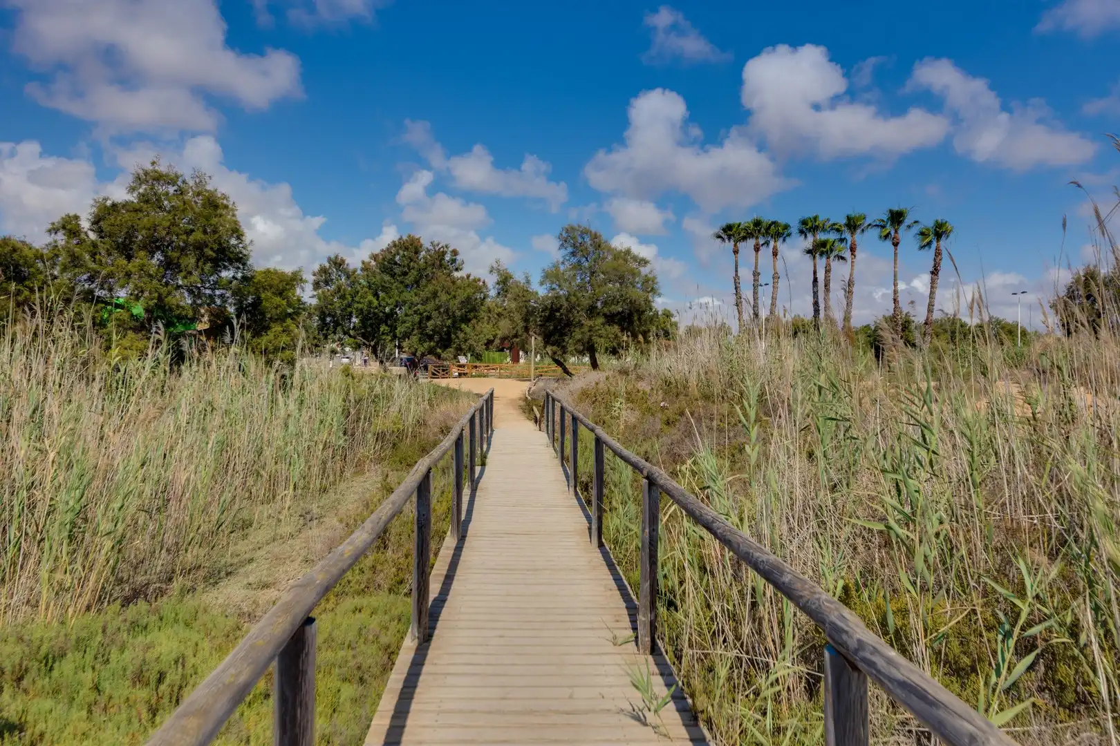Bungalow con piscina en venta en Pilar de la Horadada ciudad, imagen 70