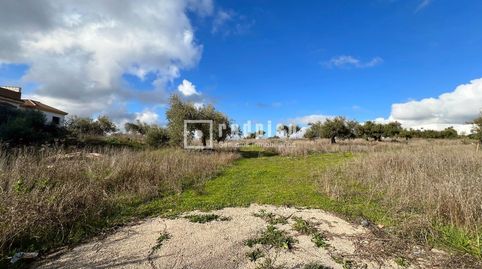TERRENO URBANIZABLE DE CASI 80.000 M PARA DESARROLLO DE 250 VIVIENDAS EN COLMENAR, MÁLAGA, immagine 5