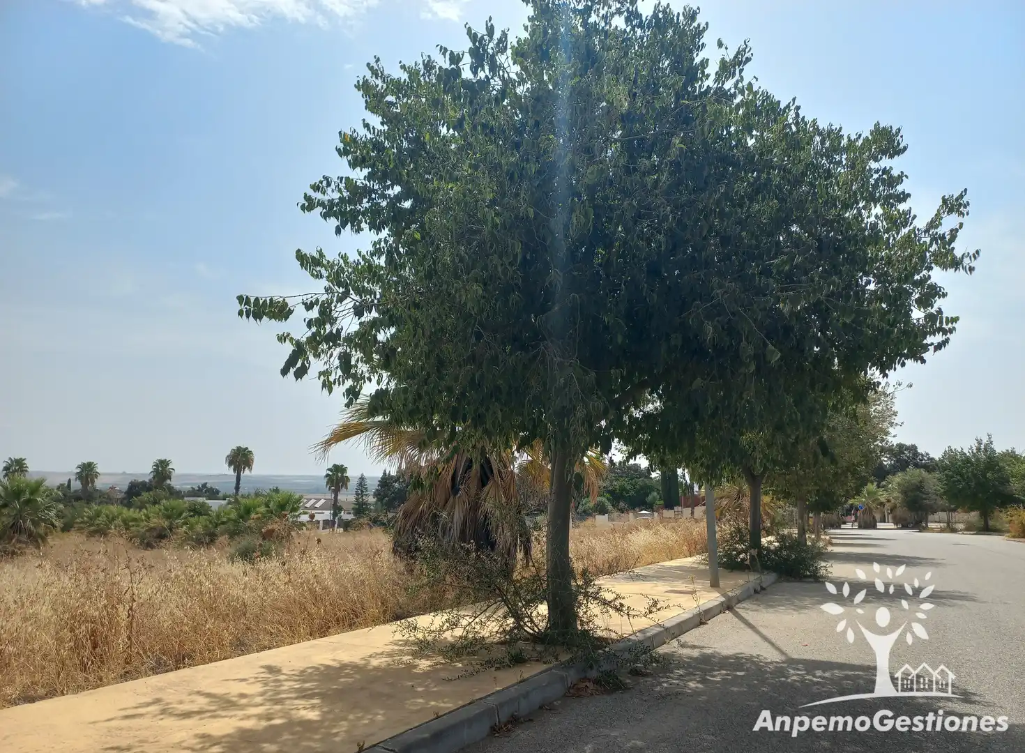 Residencial en venda a Palma del Río