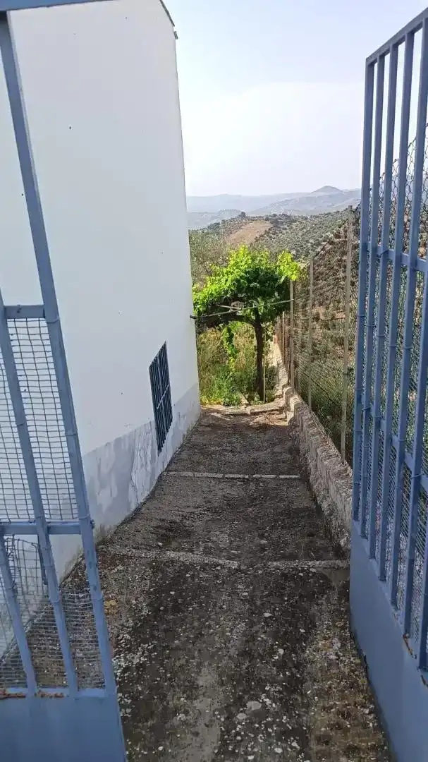 Houses for sale in Olvera