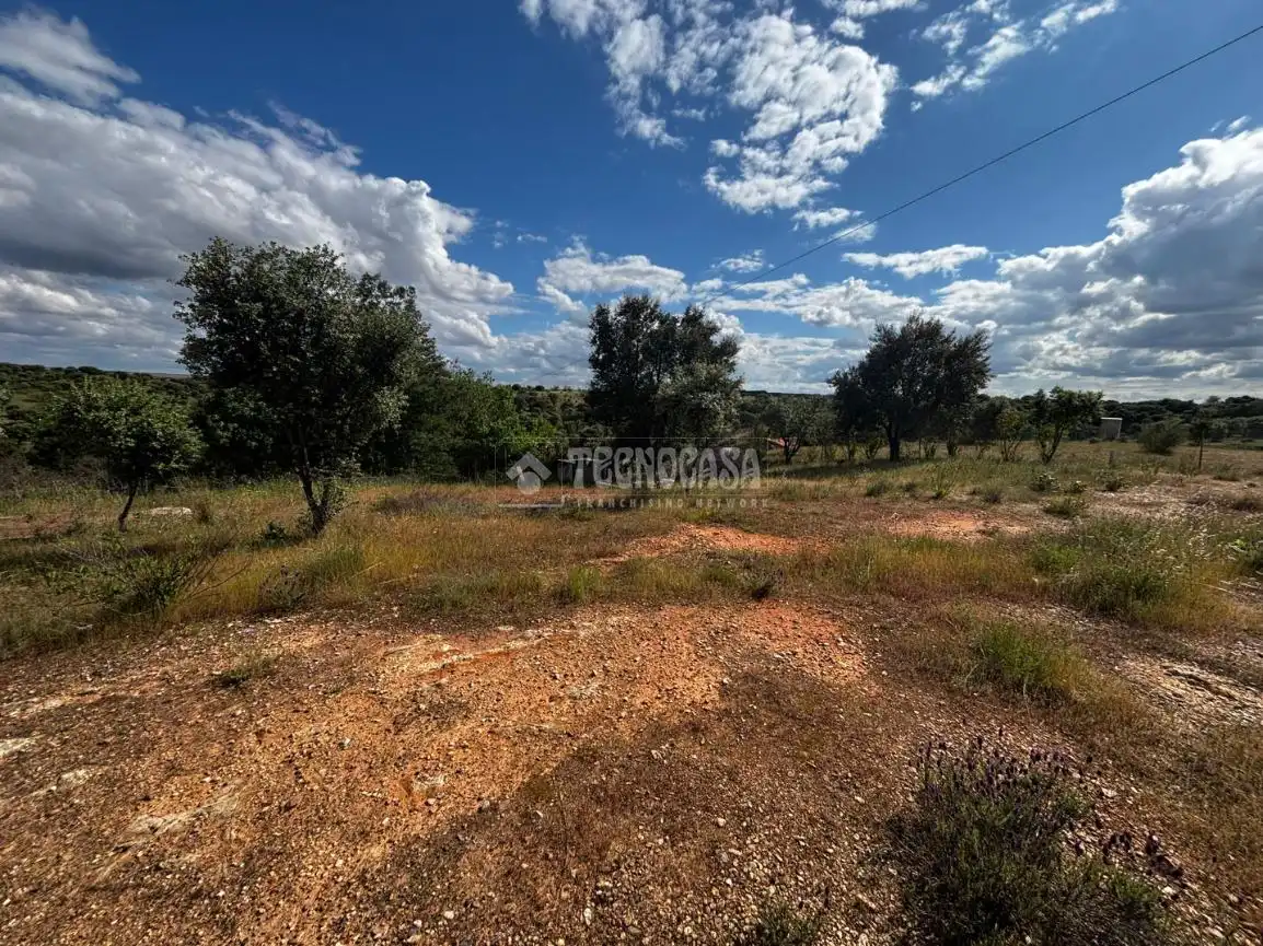 Finca rústica en venta en Carretera de Sevilla - Los Montitos