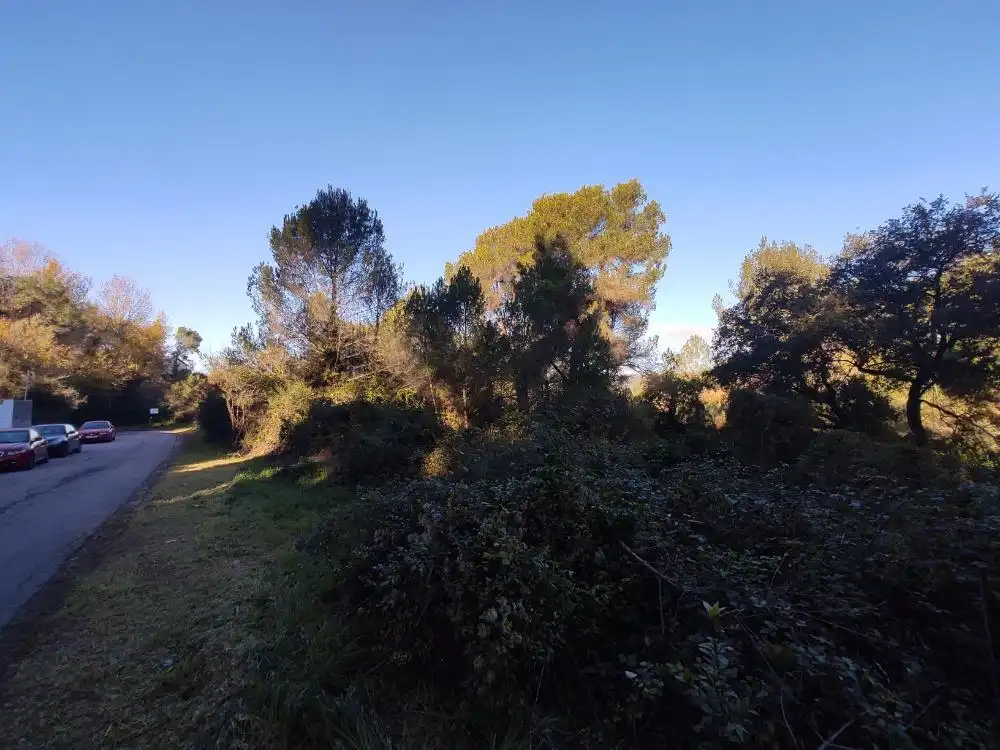Terreno residencial en venta en Carrer Cirerer, imagen 5