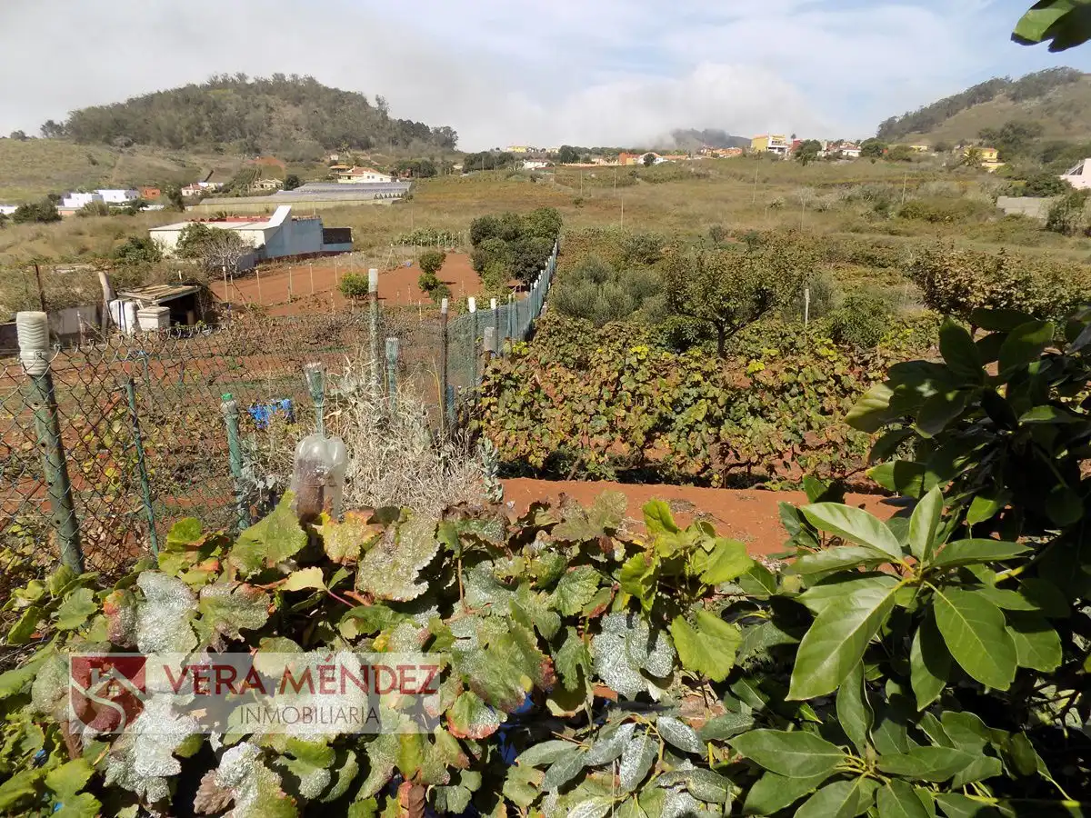 Country homes for sale in Tacoronte